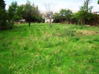 Casa rural en venta en Carolina (La)