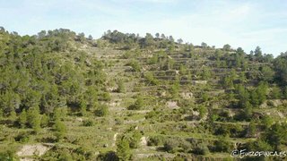 Terreno en venta en Sella