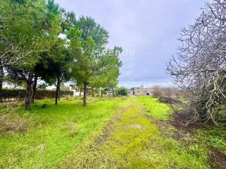 Chalet en venta en Núcleo Urbano en Chiclana de la Frontera