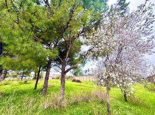 Chalet en venta en Núcleo Urbano en Chiclana de la Frontera