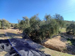 Terreno en venta en Loja