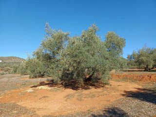 Terreno en venta en Loja