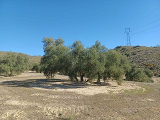 Terreno en venta en Loja