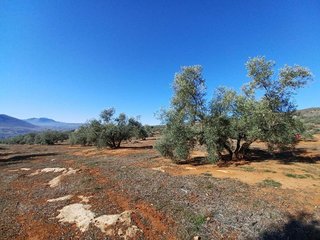 Terreno en venta en Loja