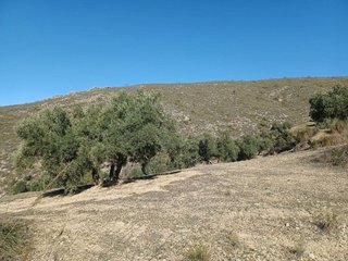 Terreno en venta en Loja