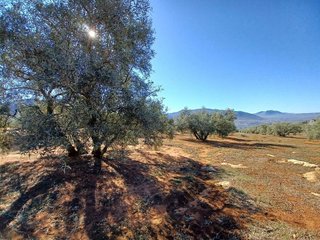 Terreno en venta en Loja