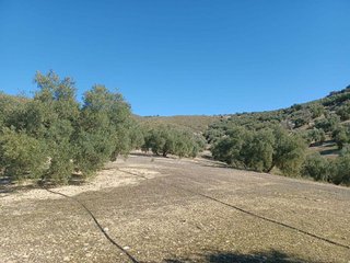 Terreno en venta en Loja