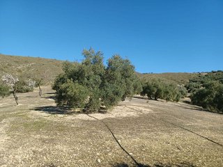 Terreno en venta en Loja