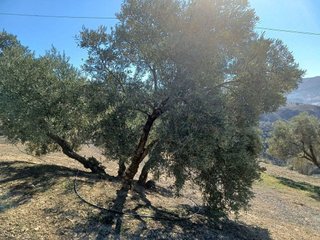 Terreno en venta en Loja