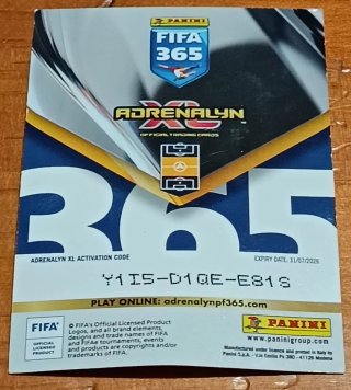 Lote Cartas Fútbol Panini FIFA 365