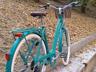 Bicicleta Urbana Elops Verde