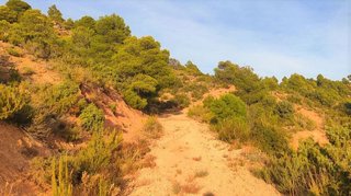 Terreno en venta en Granadella
