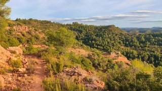 Terreno en venta en Granadella