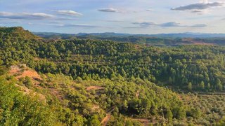 Terreno en venta en Granadella