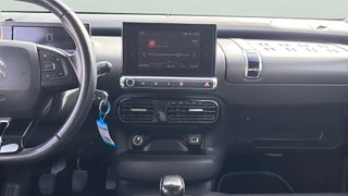 Citroen C4 Cactus PureTech 110 S&S Shine 81 kW (110 CV)