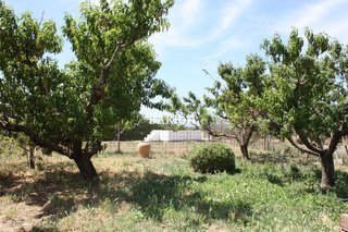 Terreno en venta en Tudela