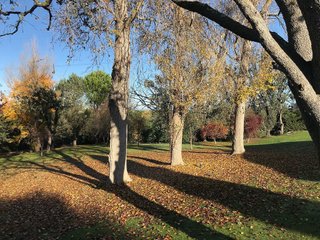 Chalet en alquiler en Monteclaro en Pozuelo de Alarcón
