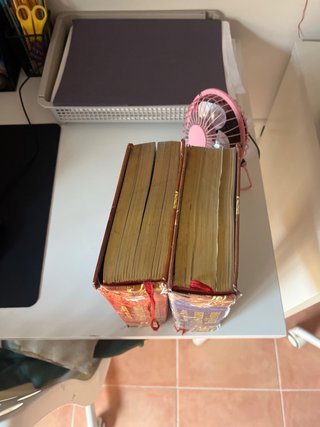 2 libros Geronimo Stilton