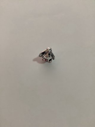 Charm Igor