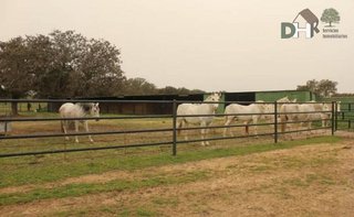 Terreno en venta en Mejostilla en Cáceres