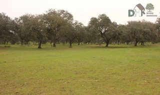 Terreno en venta en Mejostilla en Cáceres
