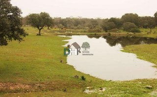 Terreno en venta en Mejostilla en Cáceres