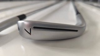 Taylormade P790 Dynamic Gold 95 (2023)