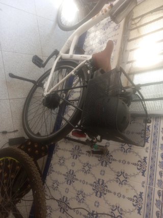 Bicicleta eléctrica asistencia pedaleo