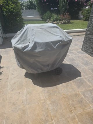 Barbacoa de gas Weber Spirit II