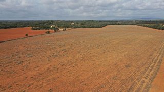 Solar en venta en Campos