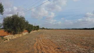 Solar en venta en Campos
