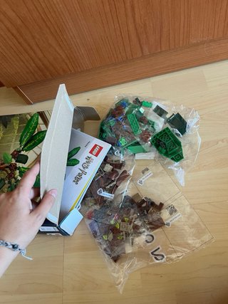 LEGO Harry Potter Mandrágora 76433