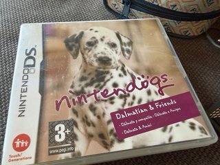 Nintendo DS Lite Plata + Juegos