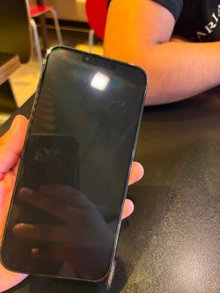 iPhone 13 Pro Max Verde