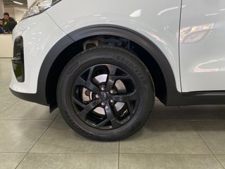 KIA Sportage Black Edition 4x2 1.6 CRDI 136CV MHEV