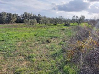 Solar en venta en Almonte en Almonte