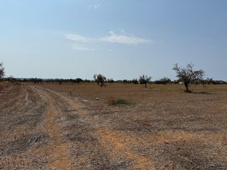 Terreno en venta en Campos