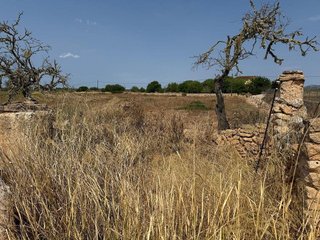 Terreno en venta en Campos