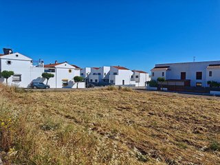 Terreno en venta en Olivenza