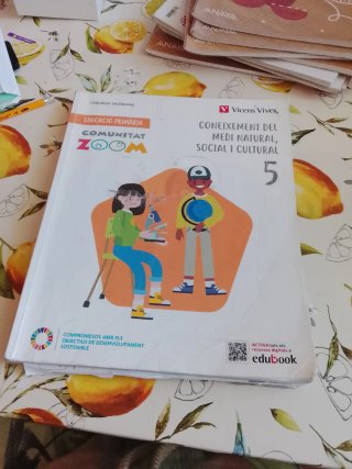 Libro de 5 primaria  Vicens vives a 25 eur