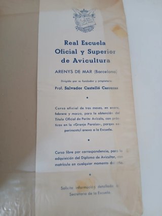 El arte de criar Gallinas por Salvador Castelló