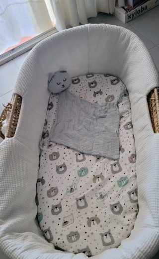 Moises bebé Cucos baby