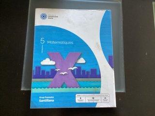 MATEMATIQUES 5 PRIMARIA CONSTRUINT MONS
