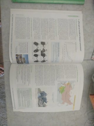 Geografía e Historia, 4 ESO, Comunidad en red