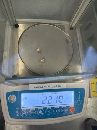 Pendientes Tous Perla y Oso Dorado