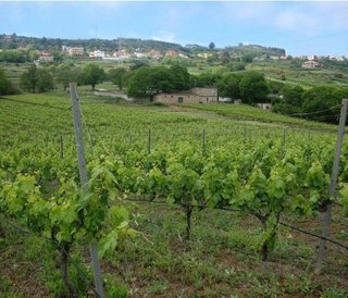 Chalet en venta en Sauzal (El)