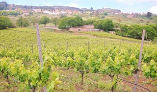 Chalet en venta en Sauzal (El)