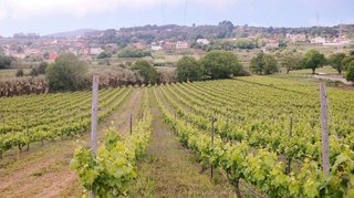 Chalet en venta en Sauzal (El)