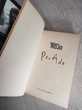 Pecado , novela de Alfonso Rojo
