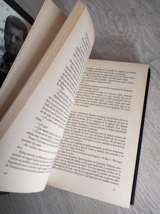 Pecado , novela de Alfonso Rojo